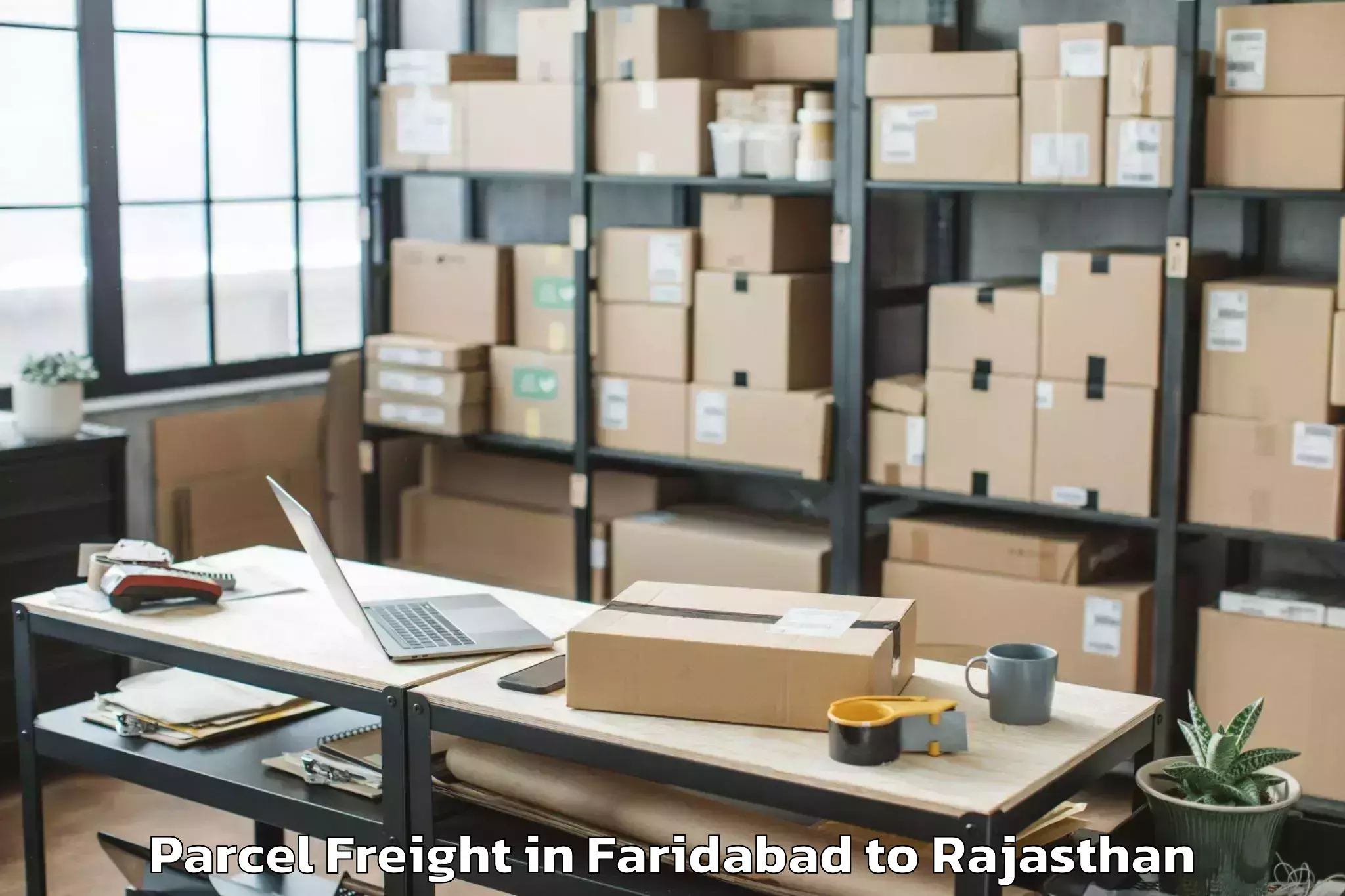 Top Faridabad to Girwa Parcel Freight Available